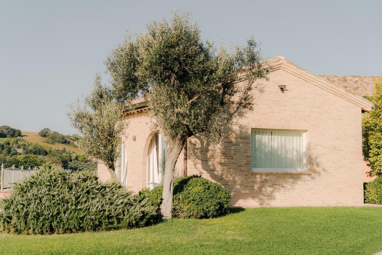 Nontiscordardime B&B Villa Agriturismo チヴィタノーヴァ・マルケ エクステリア 写真